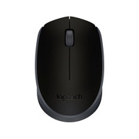 Logitech M171 Wireless Nano-receiver Mouse