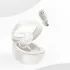 Baseus Bowie WM02 Bluetooth Earbuds 