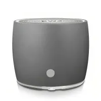 

                                    EWA A103 Portable Bluetooth Speaker